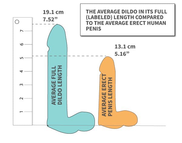 Optimale Dildogröße und durchschnittliche Penisgröße im Vergleich