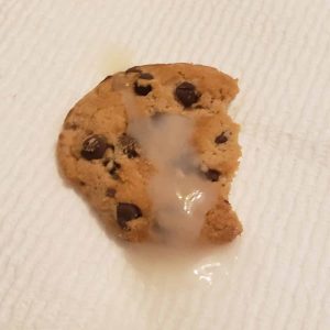 Chocolate Chip Cookie with Cum